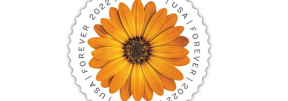 New U.S. global forever stamp features African daisy