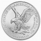 2023 1 oz American Silver Eagle Coin (BU)